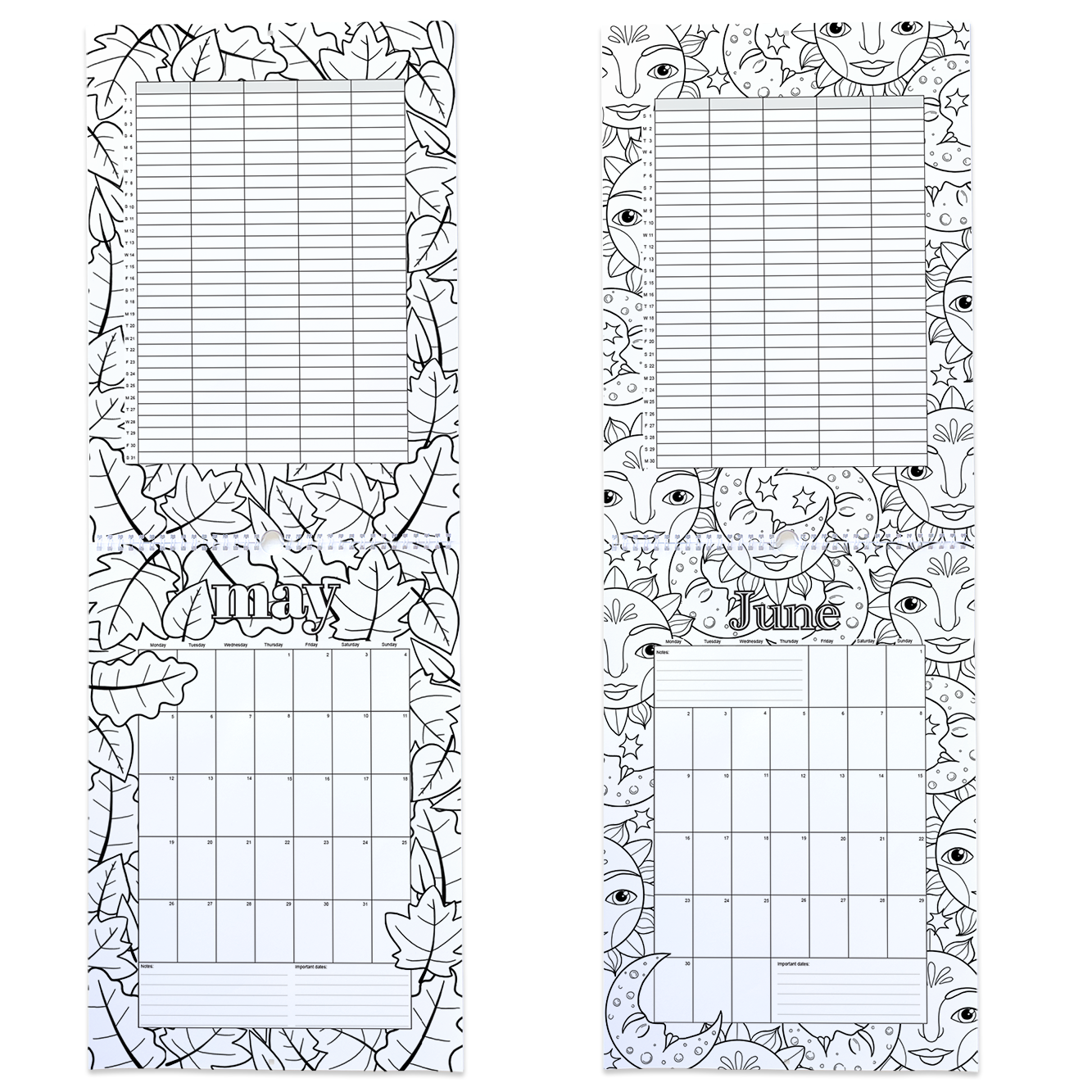 2025 Family Calendar / Colour-Me-In Calendar to Keep Your Family Organ ...